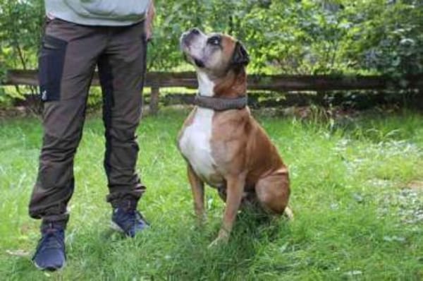Conny superliebe Seniorin