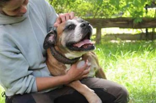 Conny superliebe Seniorin