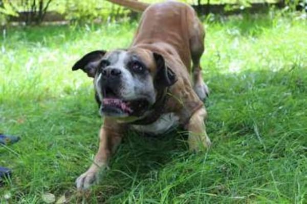 Conny superliebe Seniorin
