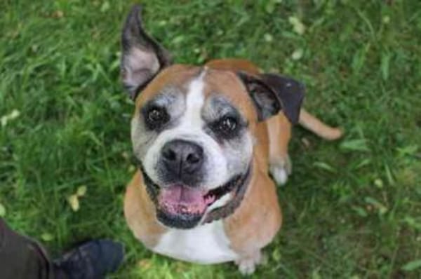 Conny superliebe Seniorin