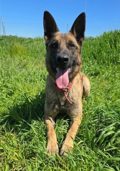 RAGNAR
