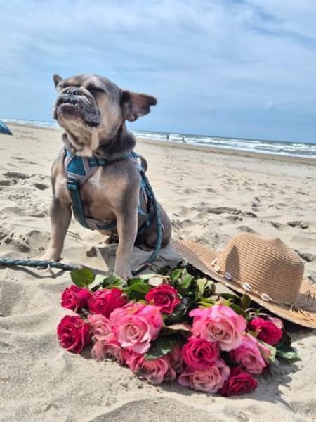 Gisela PP sucht ihren Hafen