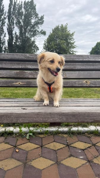 Zlata, 2 Jahre Alt