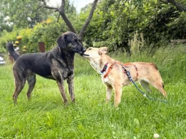 OHANA * Mit Eifer und Freude ins Leben