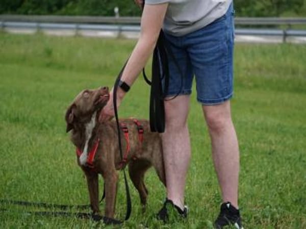 Lola sucht sportliche Menschen