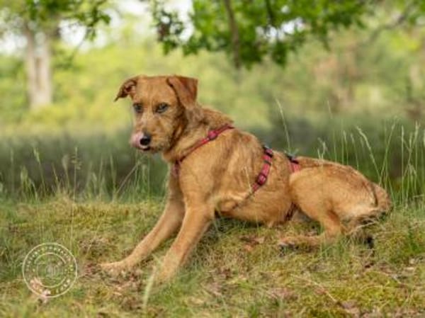 Brandy wünscht sich eigene Familie