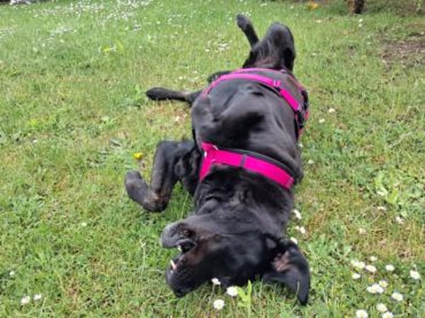 Margot sucht engen Familienanschluss