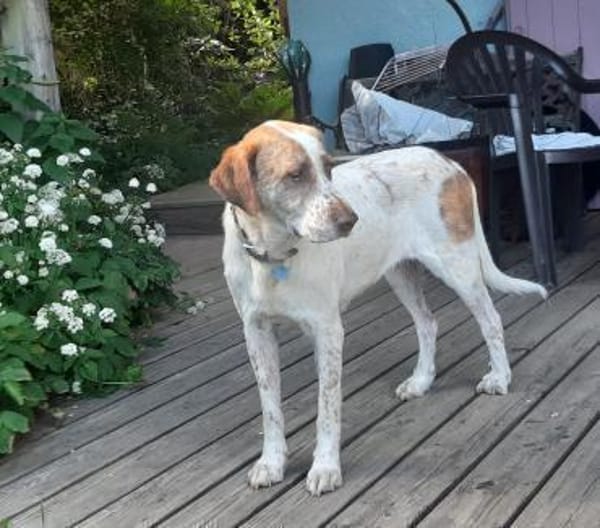 Luna eine tiefenentspannte Lady