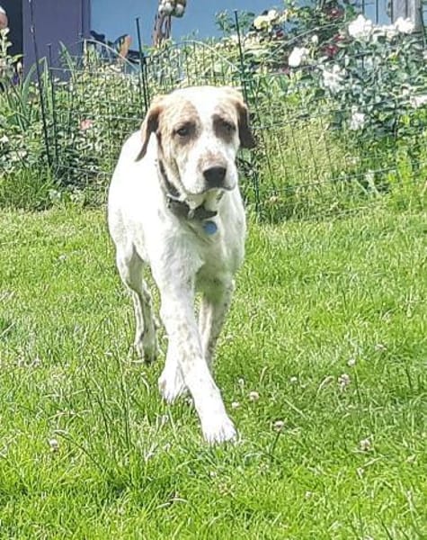 Luna eine tiefenentspannte Lady