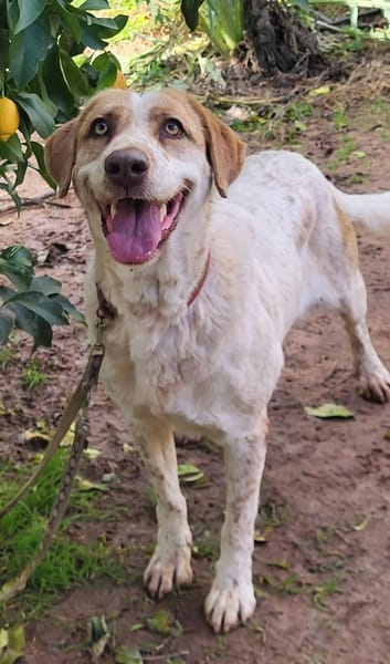 Luna eine tiefenentspannte Lady