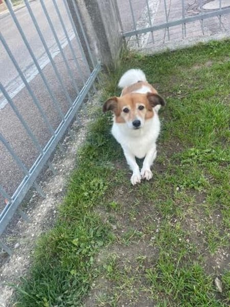 Kleine charmante Dame sucht ihr Zuhause