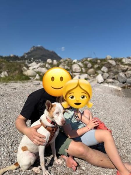 CHULA ❤ sucht ihr Für-immer-Zuhause