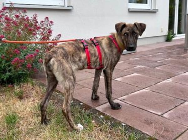 Chiara sucht aktive Menschen