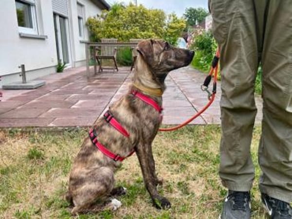 Chiara sucht aktive Menschen