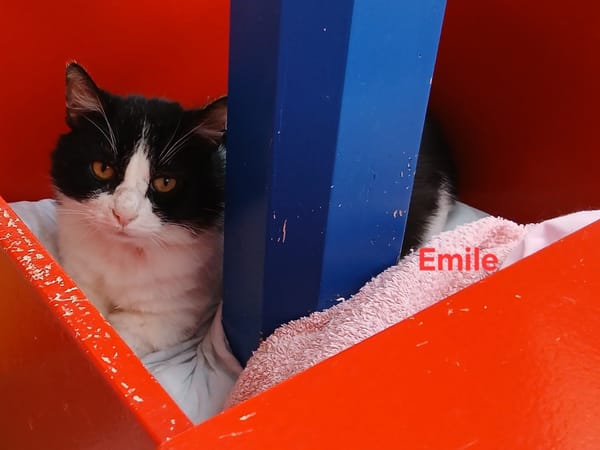 Emile