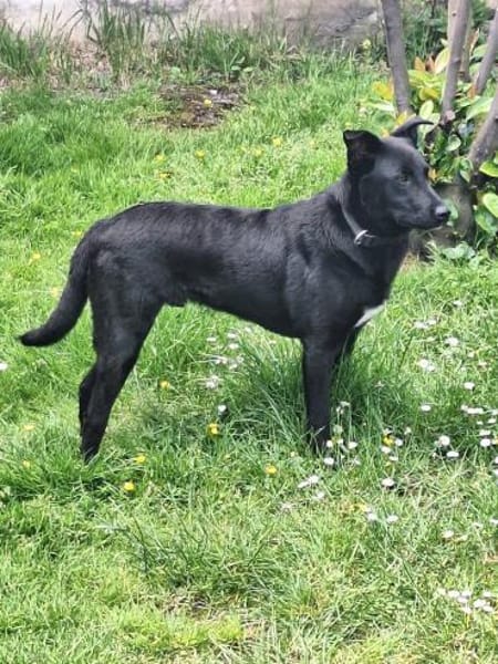 💙Dario💙 sucht seine Familie
