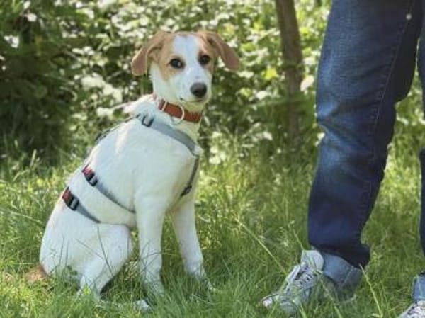 Guendalina wünscht sich Familie