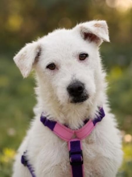 Nelly- sucht ihr Happyend