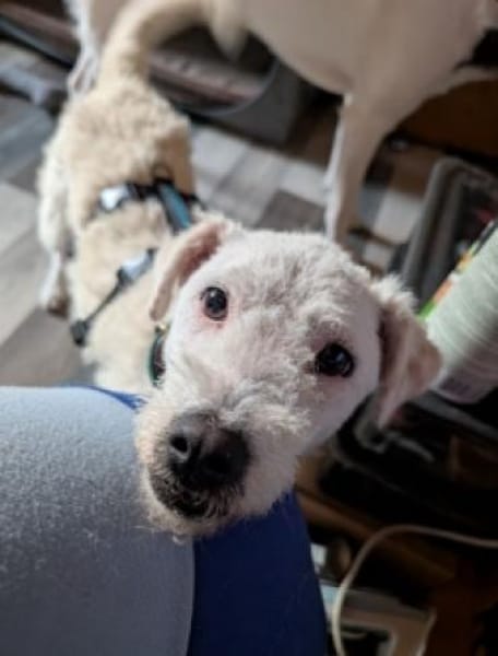 Nelly- sucht ihr Happyend