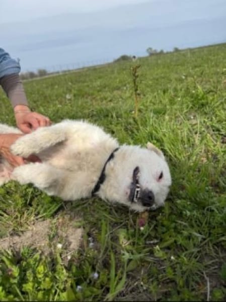 Nelly- sucht ihr Happyend