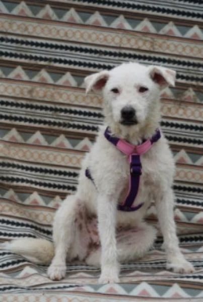 Nelly- sucht ihr Happyend