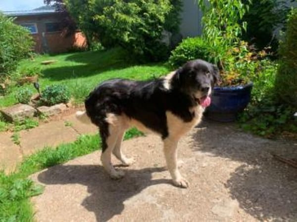 NANDO -ruhig, entspannt & bescheiden-