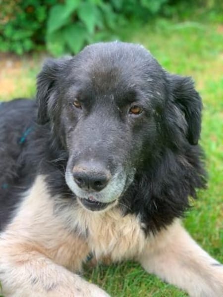 NANDO -ruhig, entspannt & bescheiden-