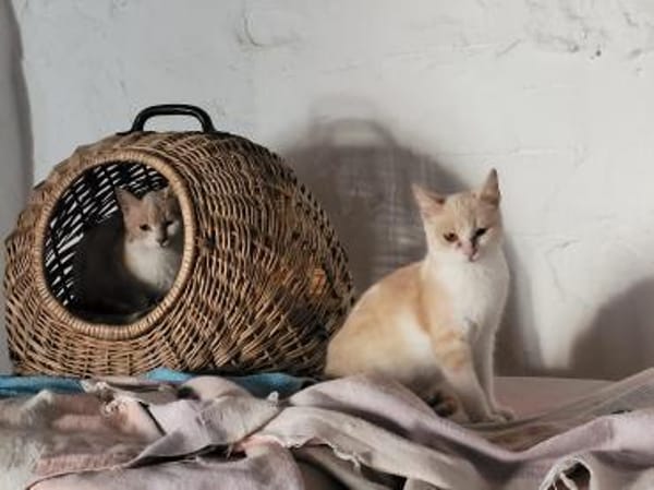 Peta und Luda, einfach bezaubernd
