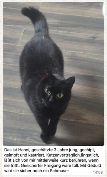 Vermittlungshilfe für Hanni & Zelda