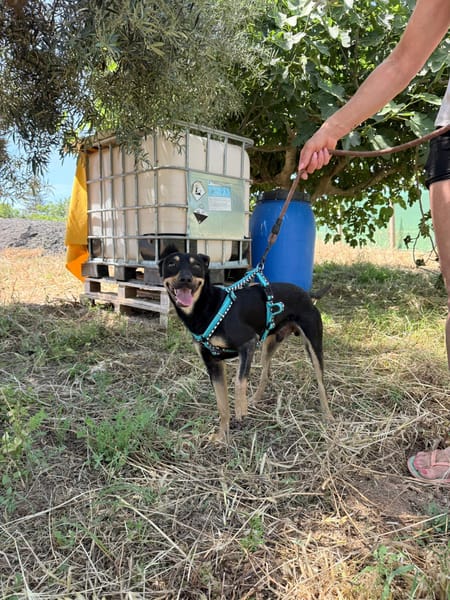 WINSTON (Martina)