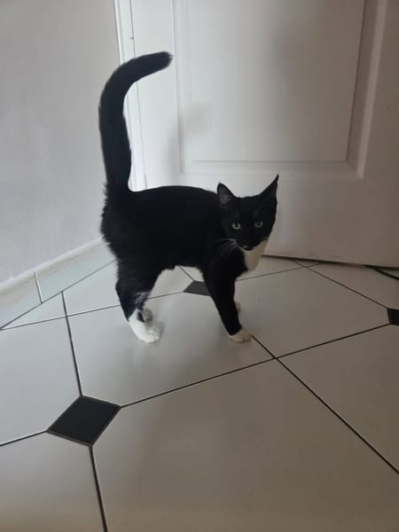 SULTAN