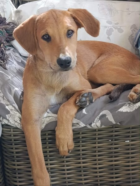 Loki, je voudrais faire connaissance