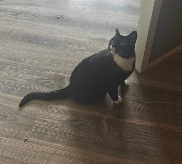 Sammie