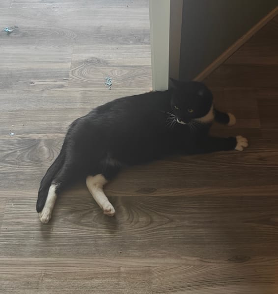 Sammie