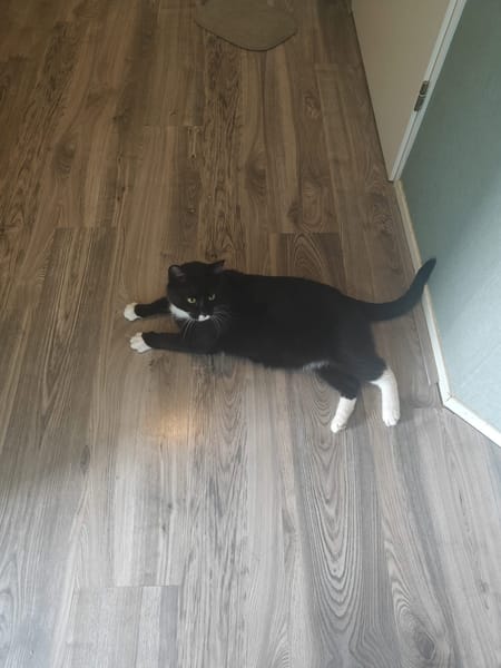 Sammie