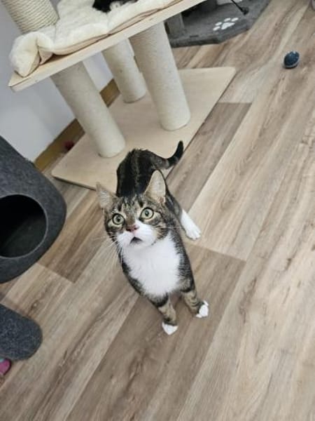 ÄFFCHEN - auf der Suche nach Abenteuern!