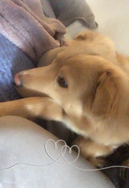Wallace jetzt Simba