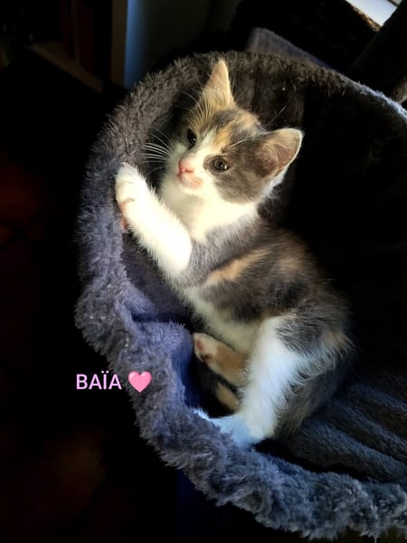 BAÏA et BIDULE