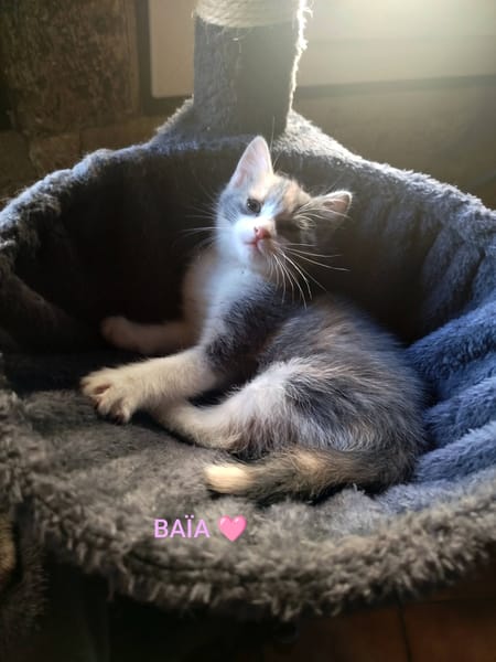 BAÏA et BIDULE