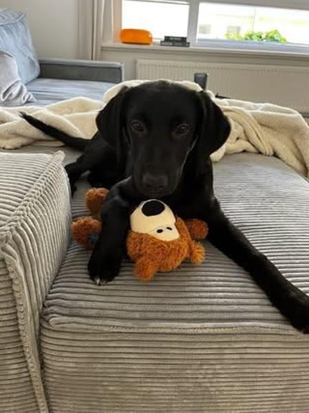 Bubi sucht sein Für-Immer-Zuhause 🐾