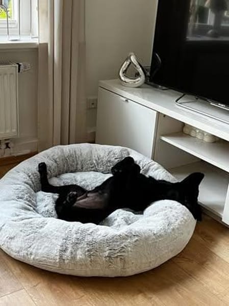 Bubi sucht sein Für-Immer-Zuhause 🐾