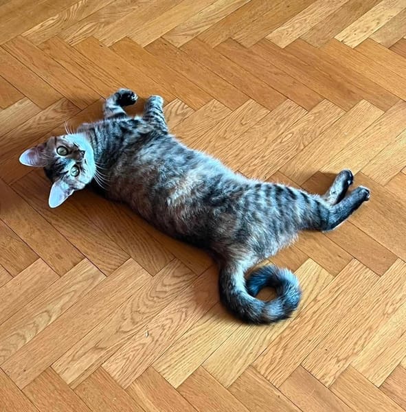 OPHÉLIA