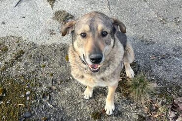 Finn möchte die Welt kennenlernen