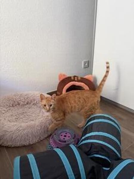 Jamie sucht ein Zuhause