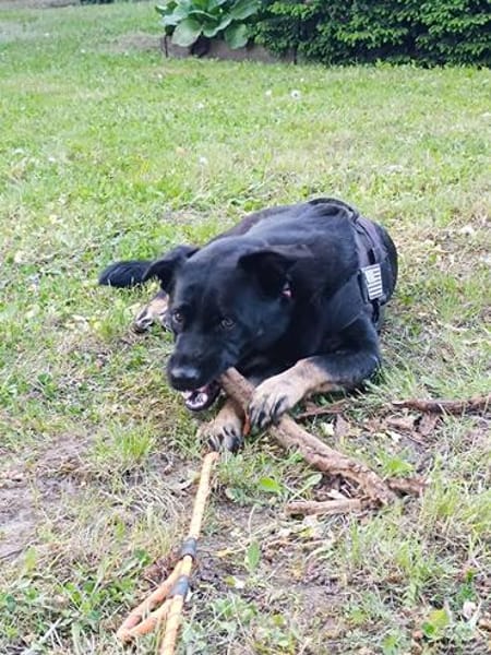 Cora sucht Lebensaufgabe auf einem Hof
