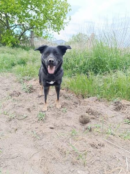 Cora sucht Lebensaufgabe auf einem Hof