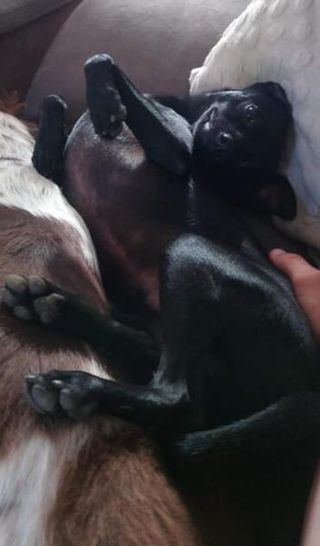 Tommy, Neuanfang gesucht