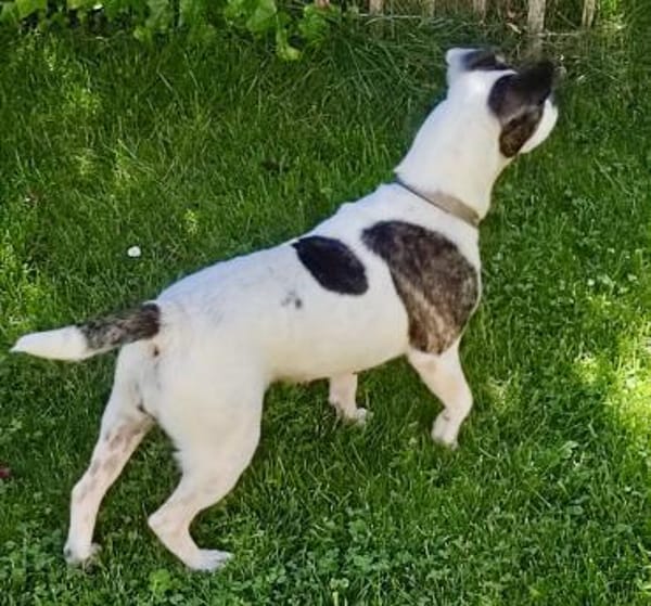 IZZY ♥ Unkompliziert & Lieb  in DE