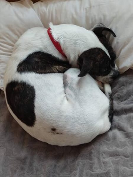IZZY ♥ Unkompliziert & Lieb  in DE