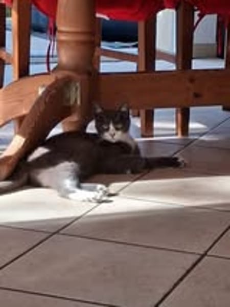 BABOUCHE et BABETTE